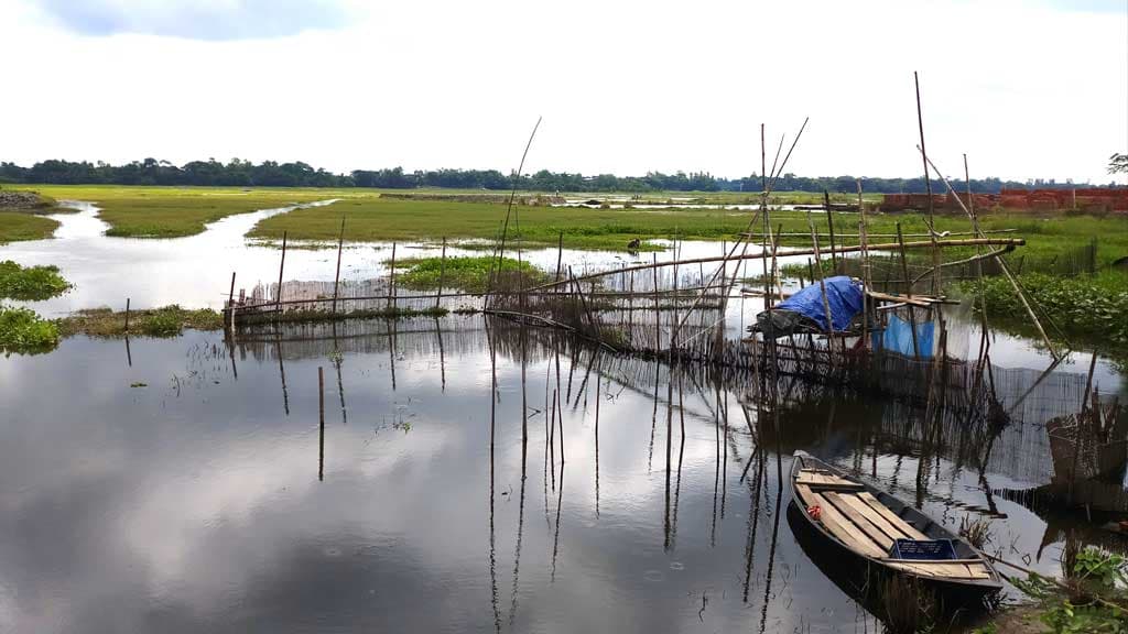 নিষিদ্ধ জালের ছড়াছড়ি