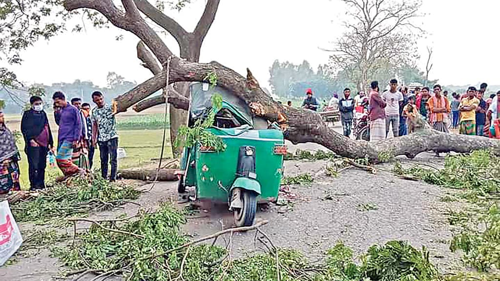 অটোরিকশার ওপর পড়ল গাছ প্রাণ গেল ছাত্রীর