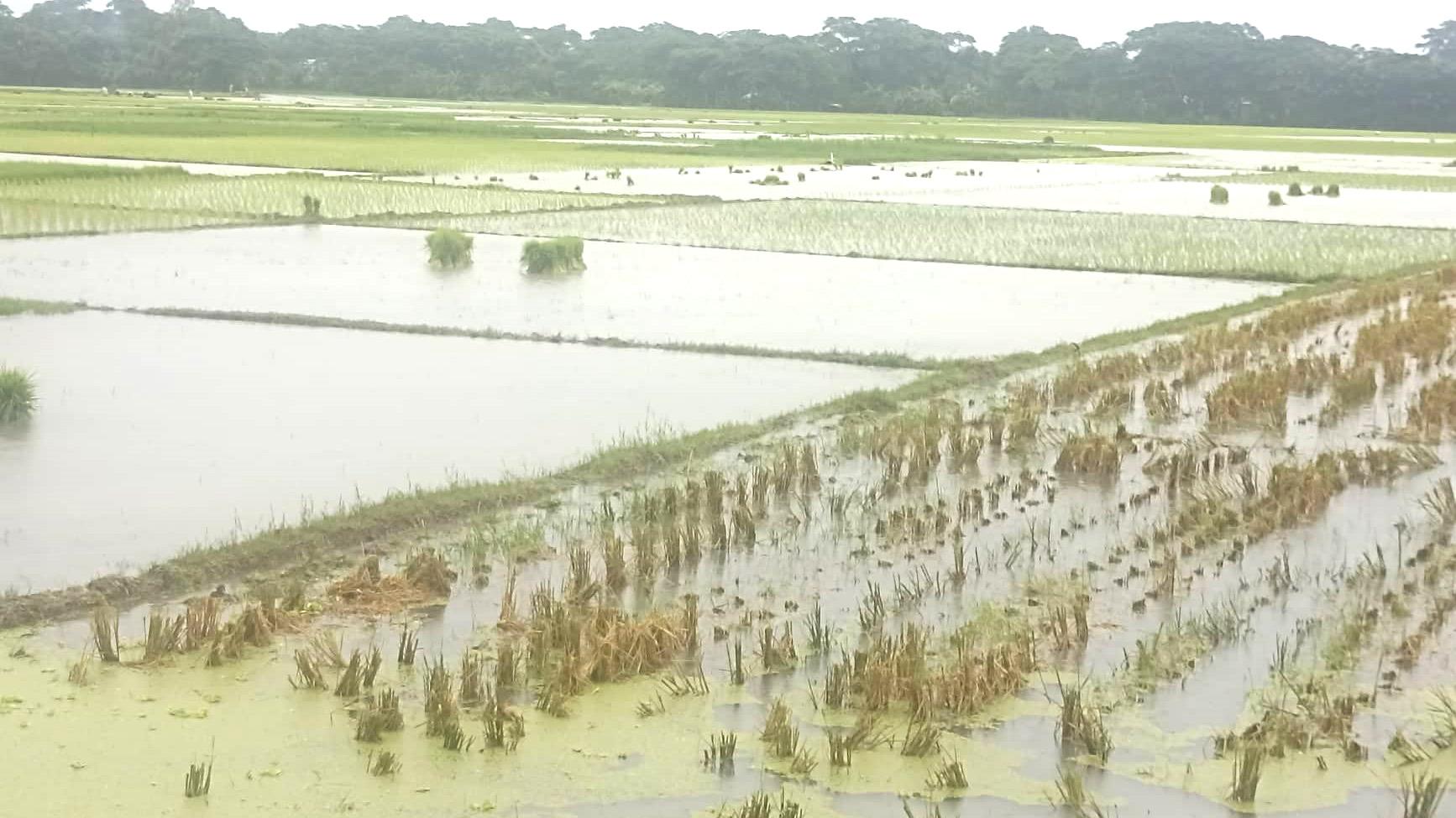 ডুবে গেছে চর ও নিম্নাঞ্চল