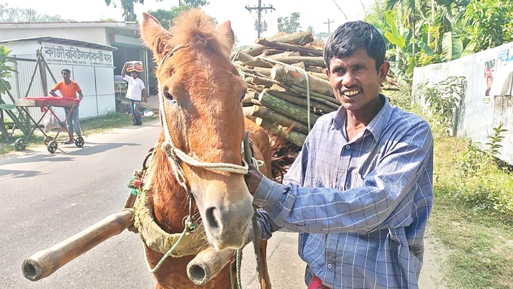 ‘ঘোড়ার খাবারের খরচও জোগাড় করতে পারি না’