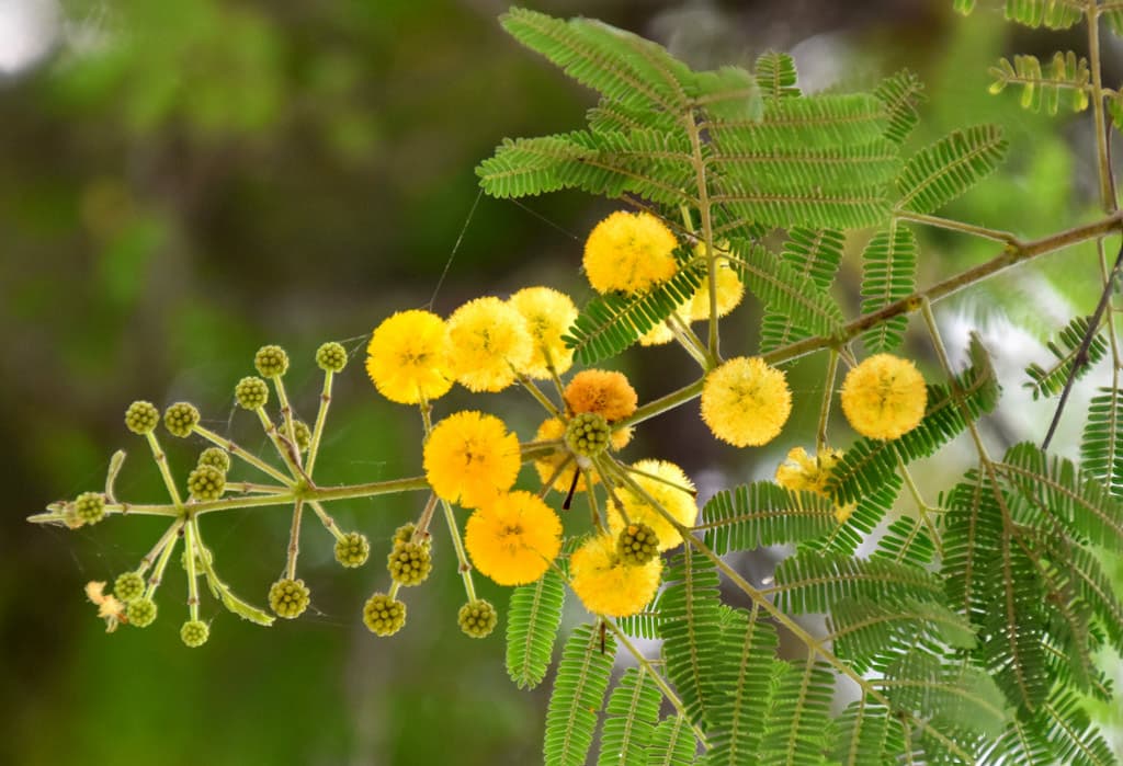 দিনের ছবি (২৪ জুন, ২০২৪)