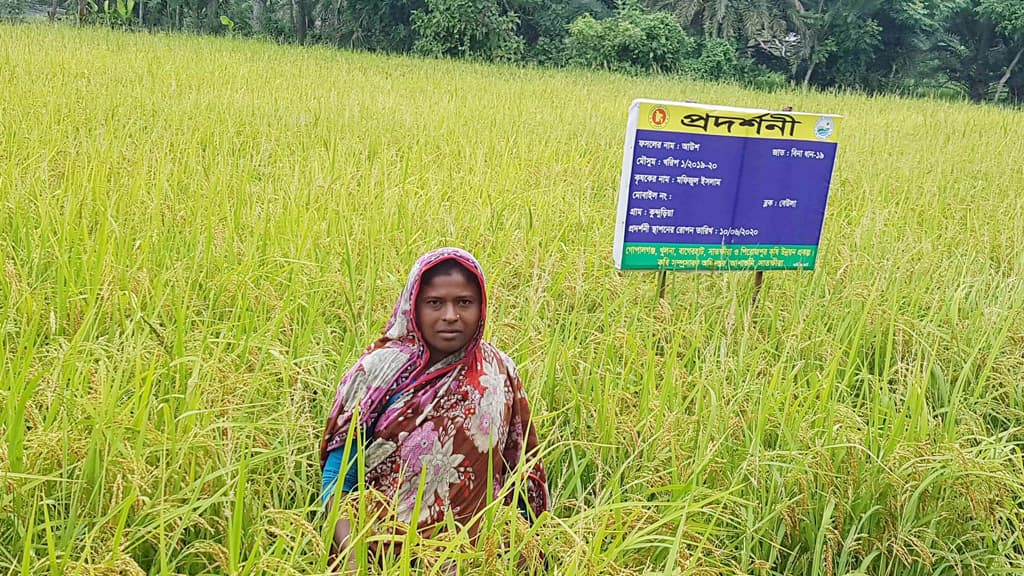 দুর্যোগের মধ্যে আউশে সুখবর