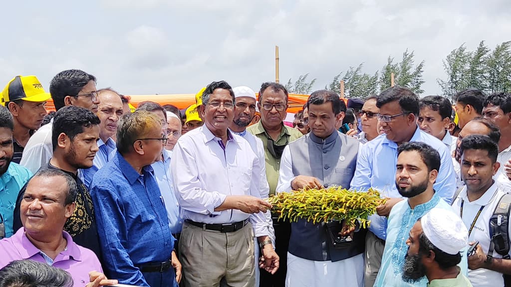 ‘পতিত জমিতে তেলবীজ আবাদ বাড়াতে হবে’