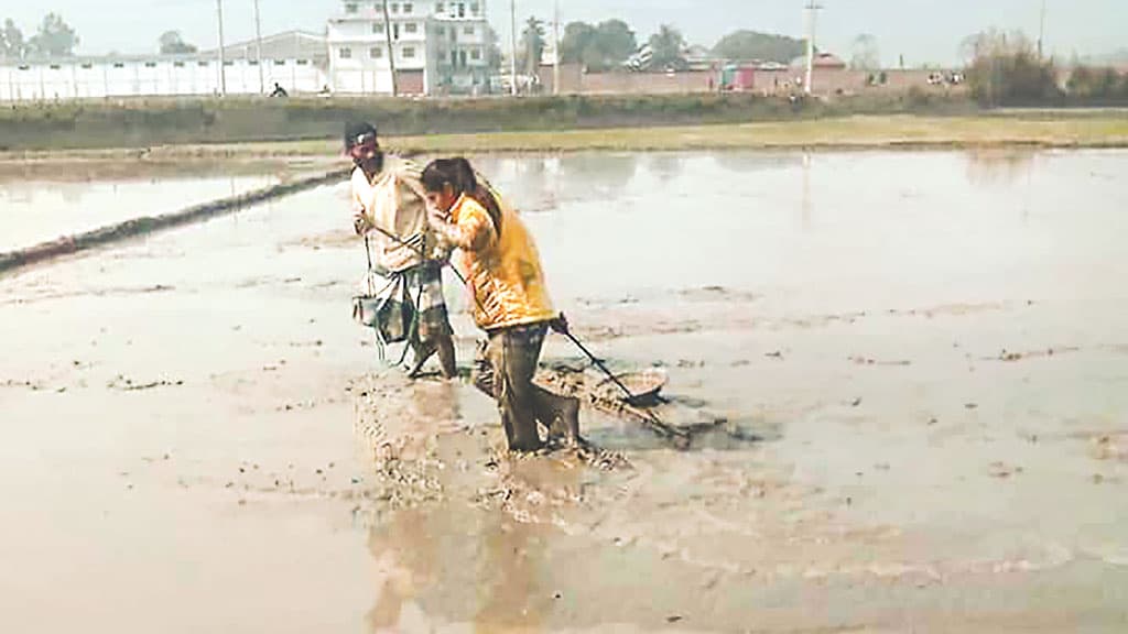 মই টানা সেই মেয়েটি খেলবে জাতীয় দলে