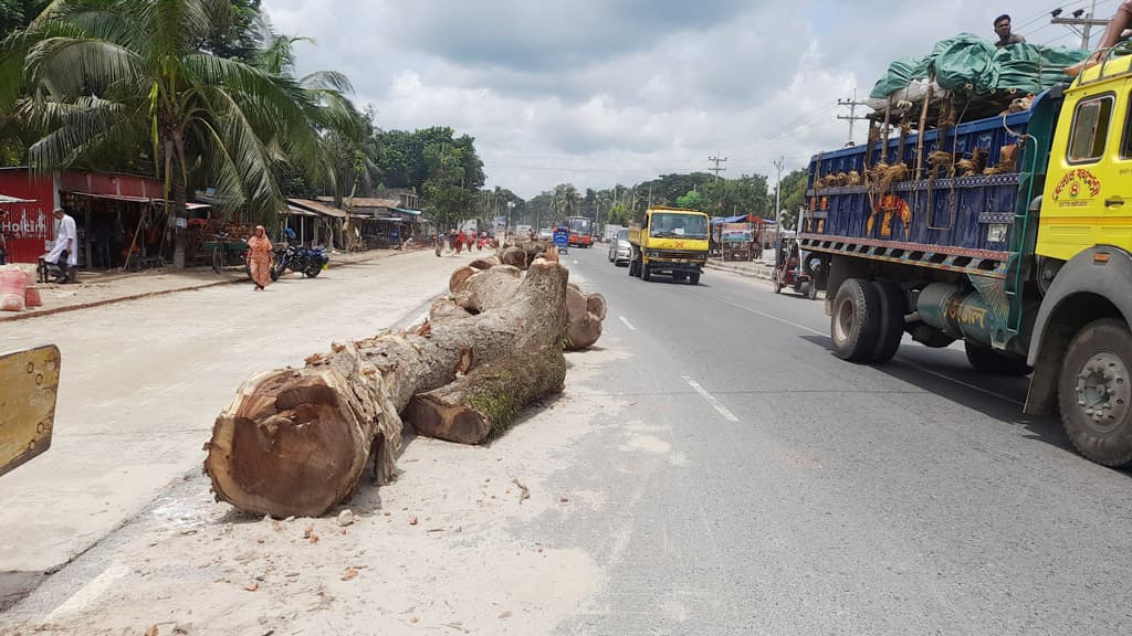 মহাসড়ক দখল করে রাখা হয়েছে গাছের গুঁড়ি, দুর্ঘটনার আশঙ্কা 