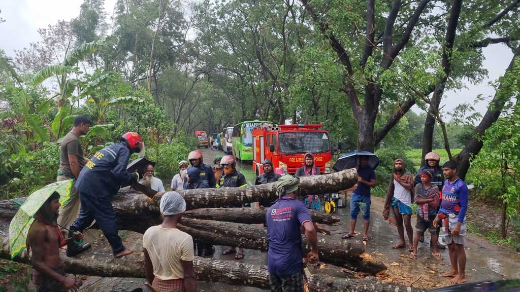 ঘূর্ণিঝড় রিমাল: পাবনায় সড়কে গাছ উপড়ে যান চলাচল বন্ধ ৩ ঘণ্টা