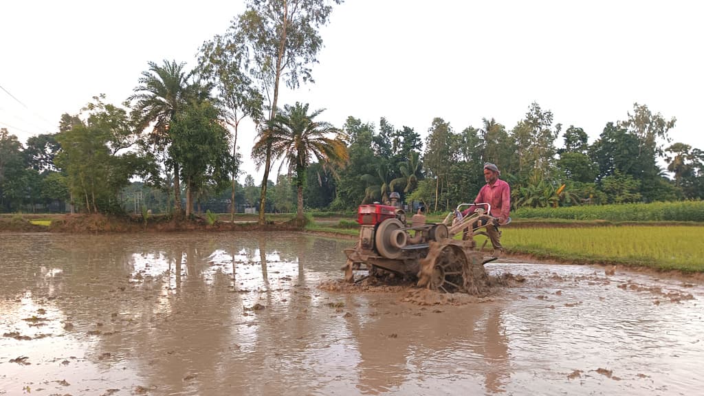 অতিরিক্ত খরচের বোঝা নিয়ে জমিতে কৃষক