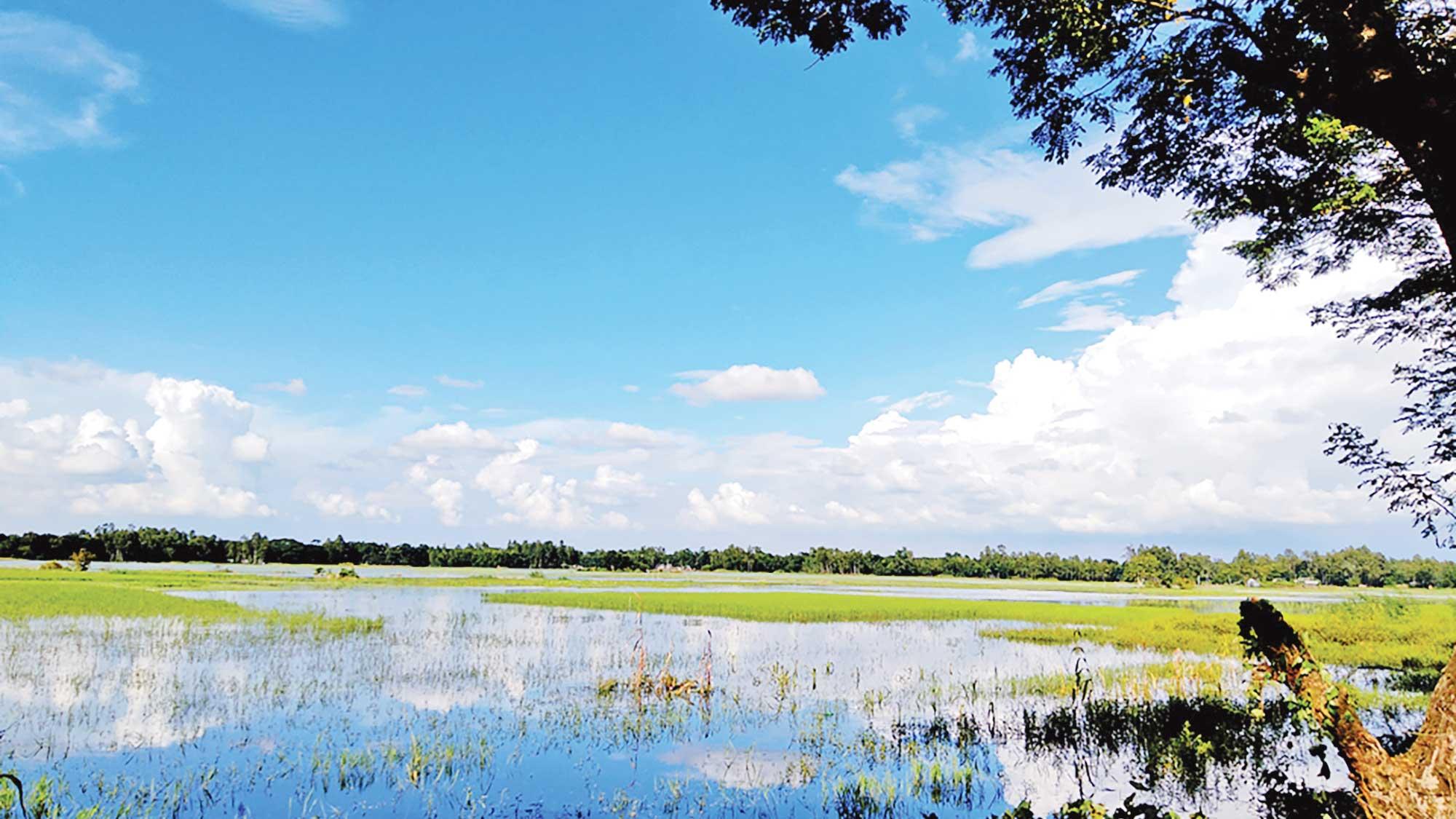 শরতের আকাশটা দেখুন