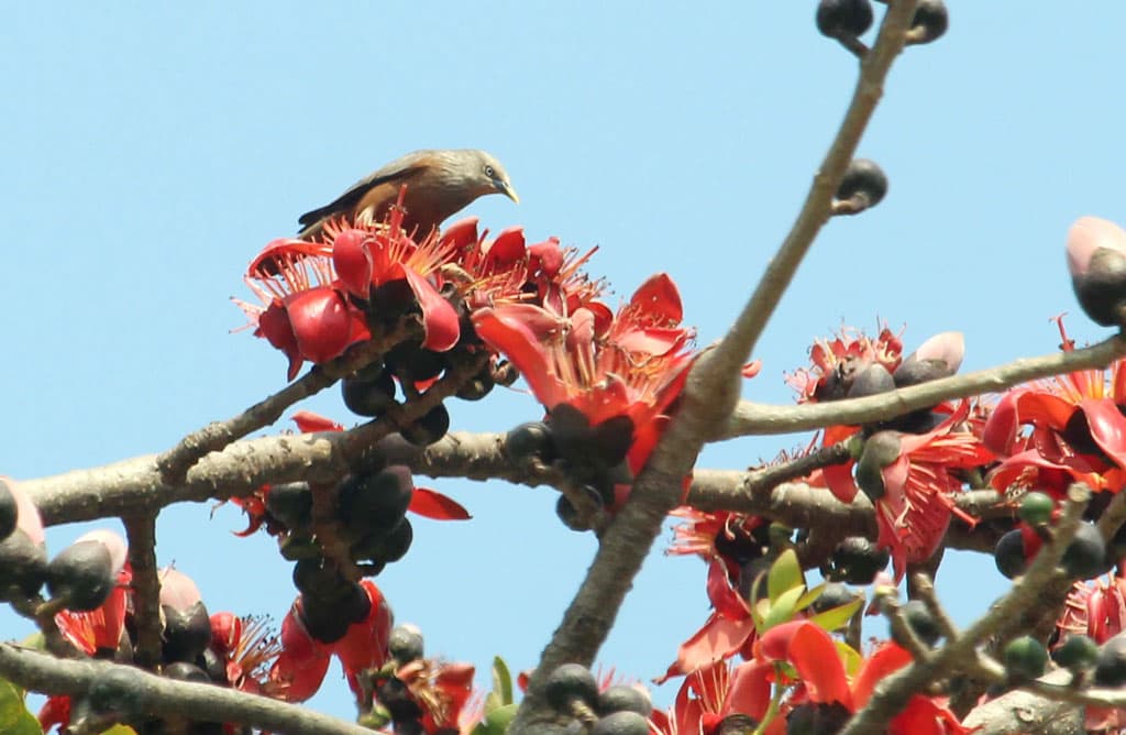 দিনের ছবি (০৪ ফেব্রুয়ারি, ২০২৪)