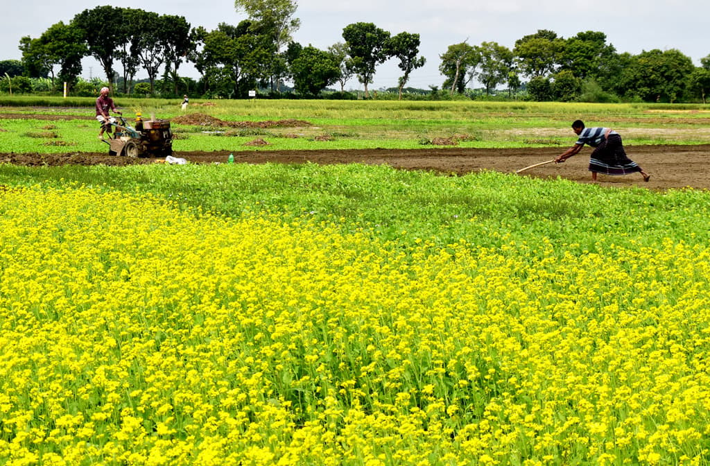 দিনের ছবি (১৮ নভেম্বর, ২০২৩)