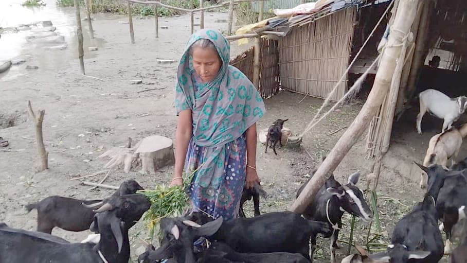 ঘর হারিয়ে অসহায় দম্পতি