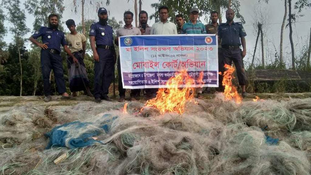 নিষেধাজ্ঞা অমান্য করে যমুনায় ইলিশ শিকার, ১৫ জেলের কারাদণ্ড