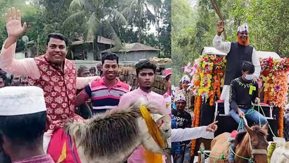 ঘোড়ায় চড়ে দায়িত্ব নিতে গেলেন ইউপি চেয়ারম্যান ও সদস্য