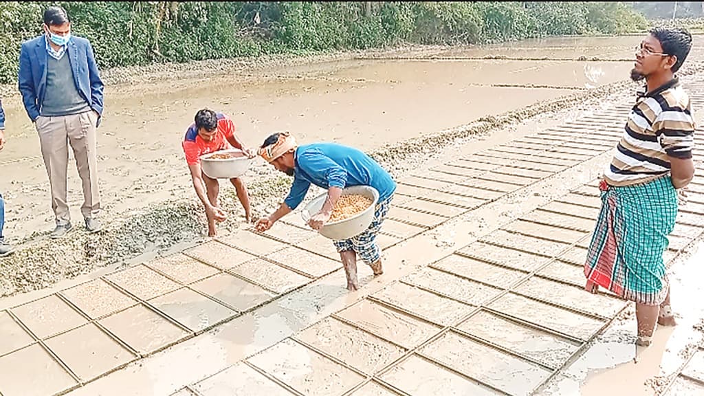 এবার বোরো চাষ হবে রাইস ট্রান্সপ্ল্যান্টারে