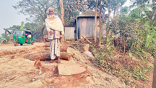 কাটা হলো নিলামের অতিরিক্ত গাছ