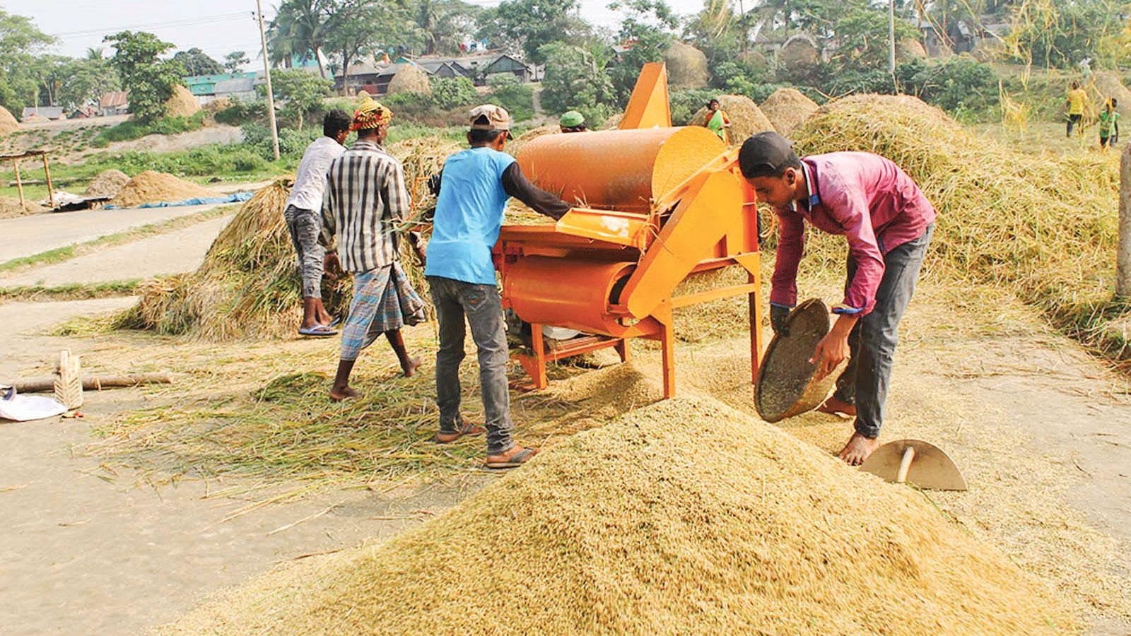 ঝুঁকির মুখে খাদ্যনিরাপত্তা