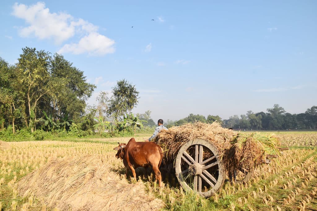 দিনের ছবি (২৭ নভেম্বর, ২০২৩)