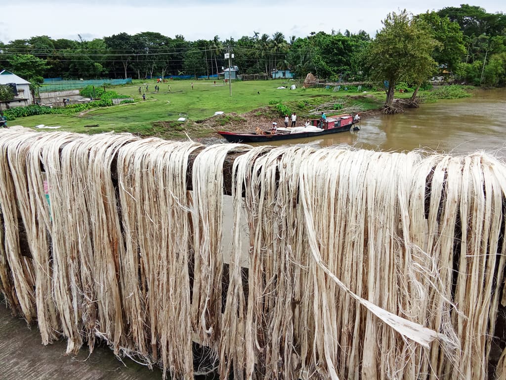 দিনের ছবি (০২ আগস্ট, ২০২৪)