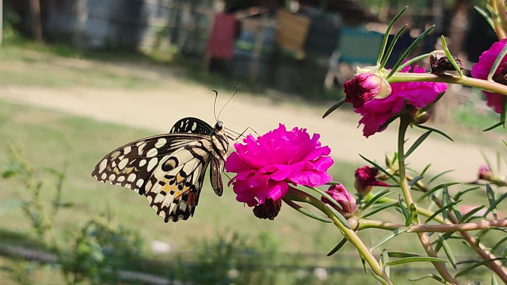 দিনের ছবি (০৯ মে, ২০২৩)