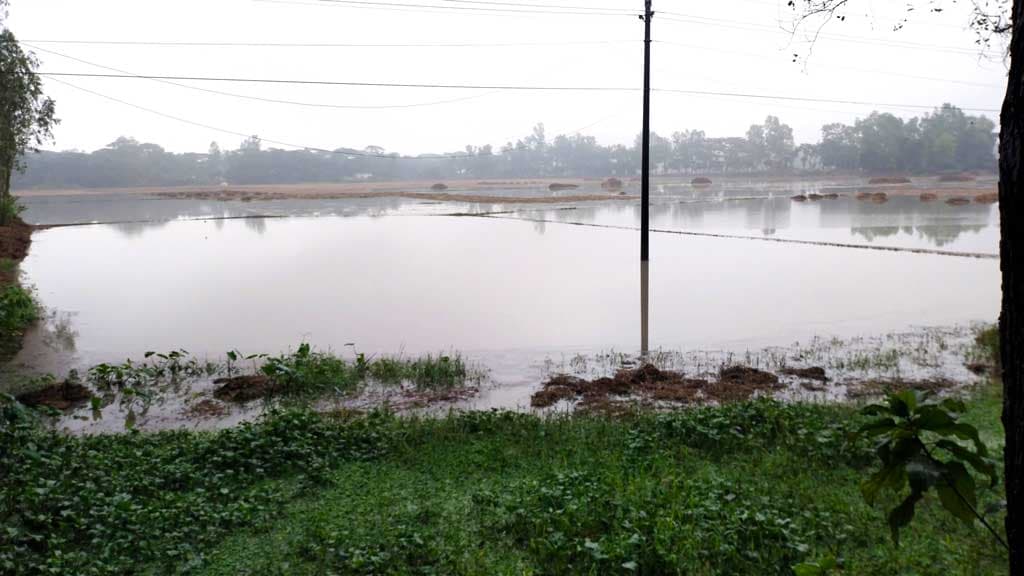 কৃষকের চোখের পানির সঙ্গে একাকার বৃষ্টির পানি