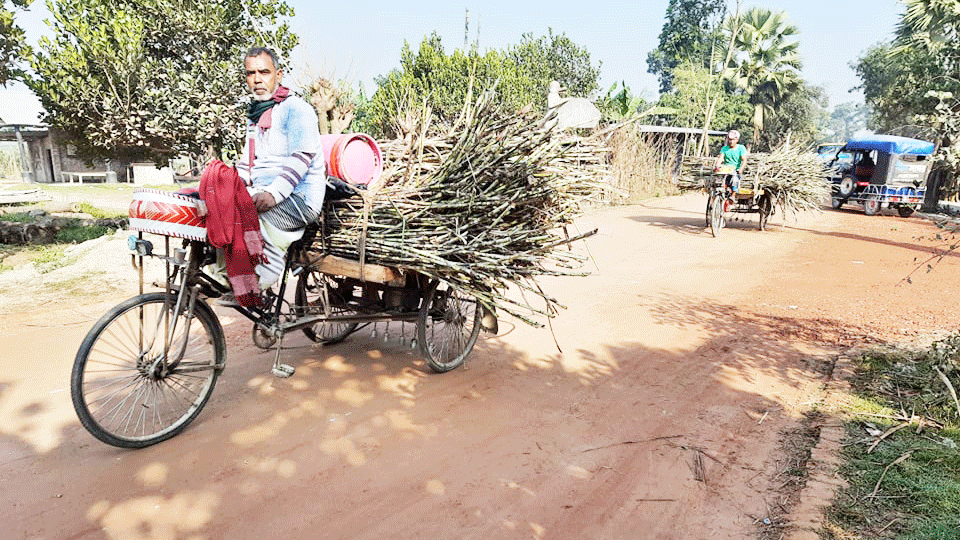 আখের অভাবে বন্ধ চিনিকল মাড়াই চলছে ক্রাশারে