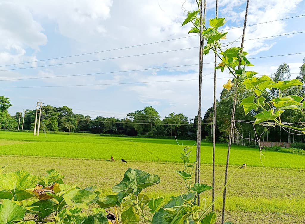 দিনের ছবি (২১ জুলাই, ২০২৩)