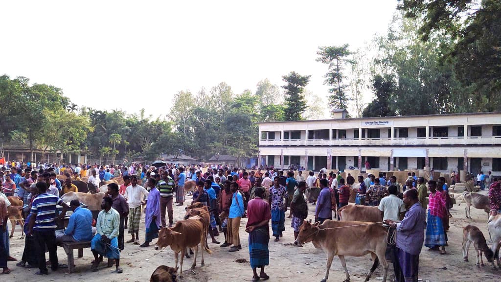 পশুহাটের জন্য স্কুল ছুটি