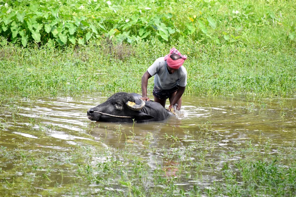 দিনের ছবি (০৬ অক্টোবর, ২০২৩)