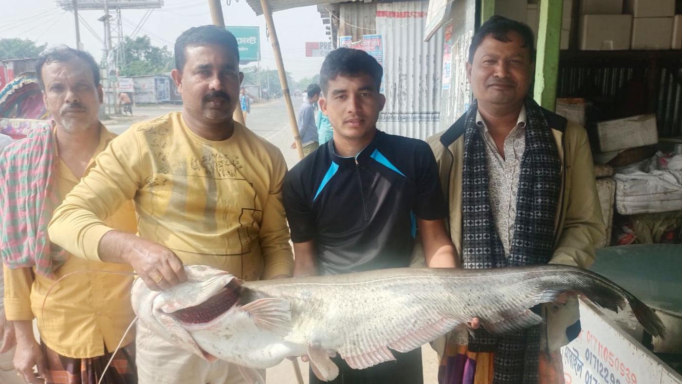 ১৪ কেজির বোয়াল গোয়ালন্দে বিক্রি হলো ৩৫ হাজার টাকায়