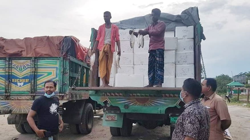 ভারতে ইলিশ রপ্তানি বন্ধে লিগ্যাল নোটিশ 