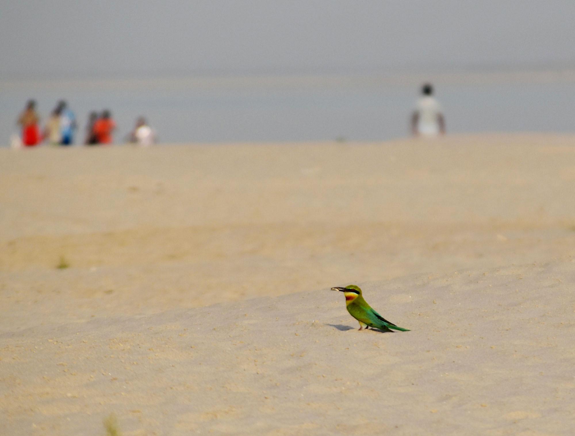 দিনের ছবি (১১ মে, ২০২৩)