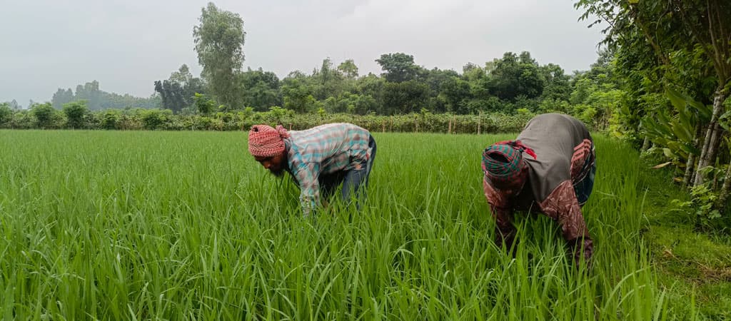 দিনের ছবি (২৪ সেপ্টেম্বর, ২০২৪)