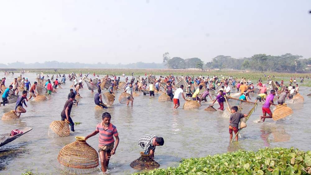 বিশ্বনাথ মেতেছে পলো বাওয়া উৎসবে