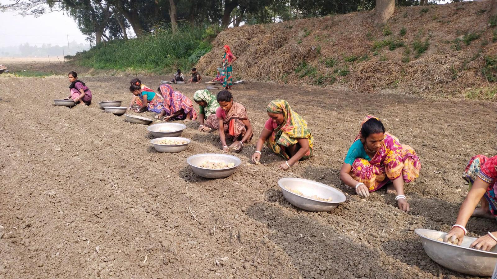 কম মজুরিতে পাওয়ায় কদর নারী শ্রমিকের