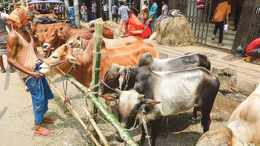 হাটে বাড়ছে কোরবানির পশু, ক্রেতা কম