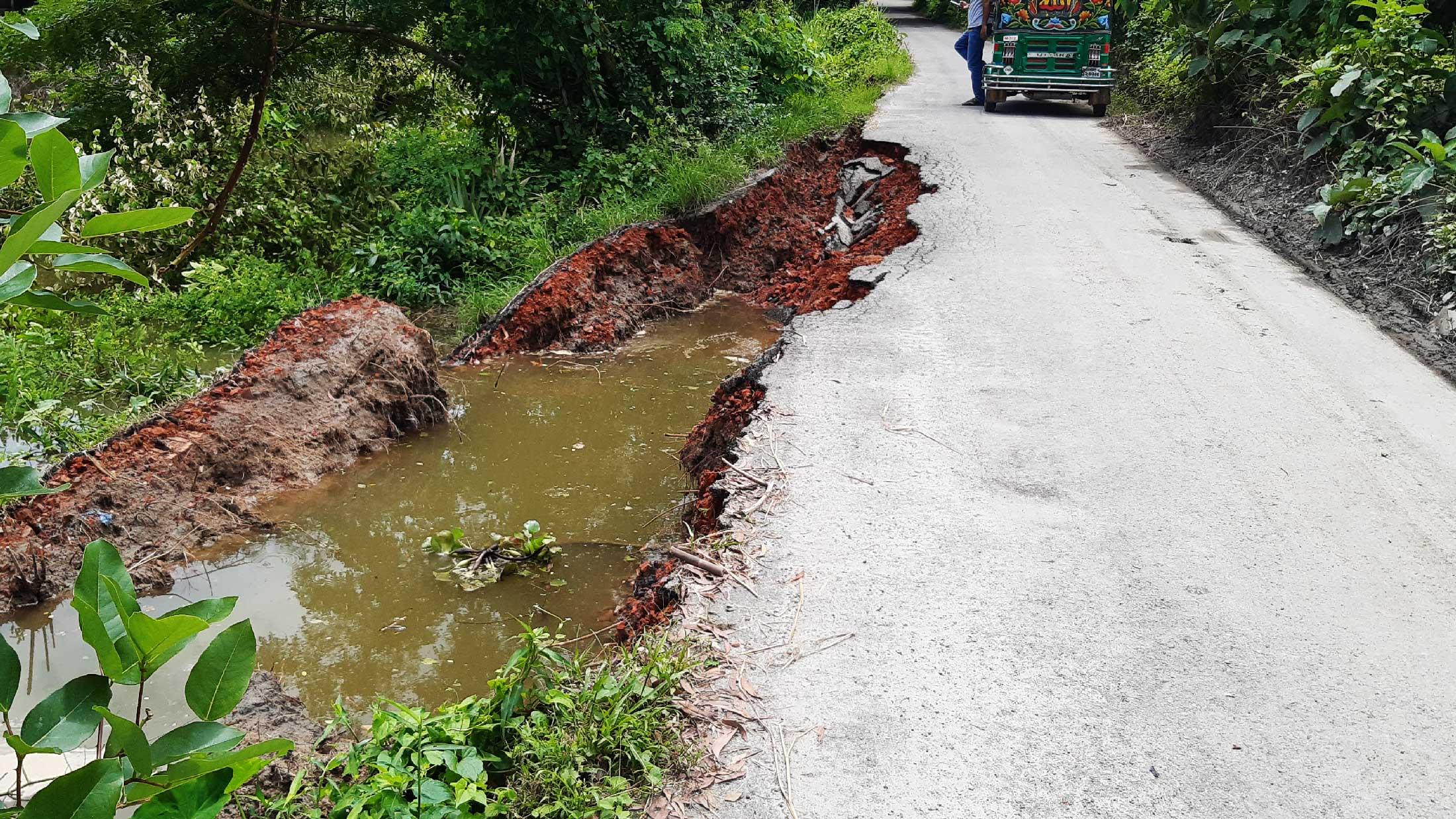 তিতাসে মাছের আক্রমণে ধসে পড়েছে গ্রামীণ সড়ক