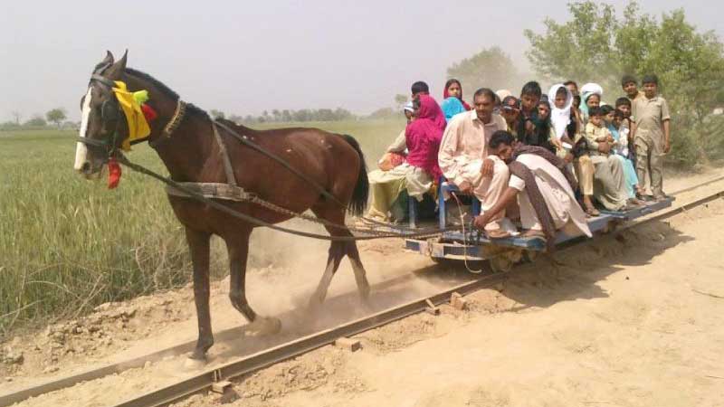 পাকিস্তানের ঘোড়ায় টানা ট্রেন