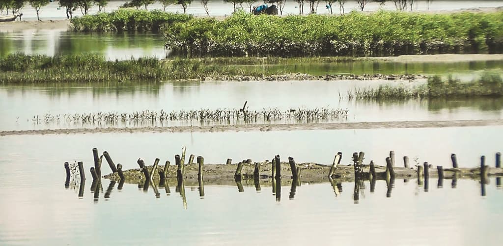 আবাদ কমেছে ২২ হাজার হেক্টরে