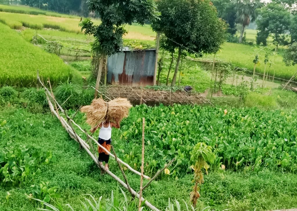 দিনের ছবি (২৩ অক্টোবর, ২০২৩)