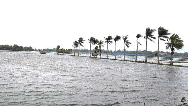 ঘূর্ণিঝড় ইয়াসে মোংলায় প্রায় দেড় কোটি টাকার ক্ষতি