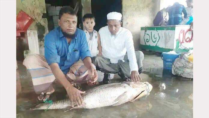 ২৭ কেজির পোয়া বিক্রি হলো ৫ লাখ টাকায়