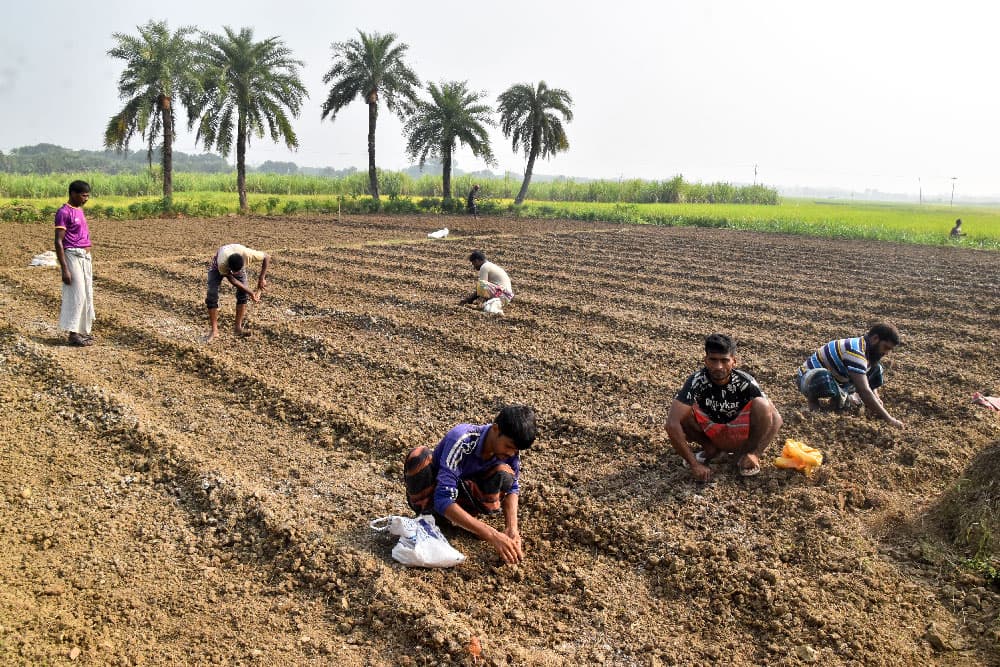 দিনের ছবি (১ নভেম্বর ২০২৪)