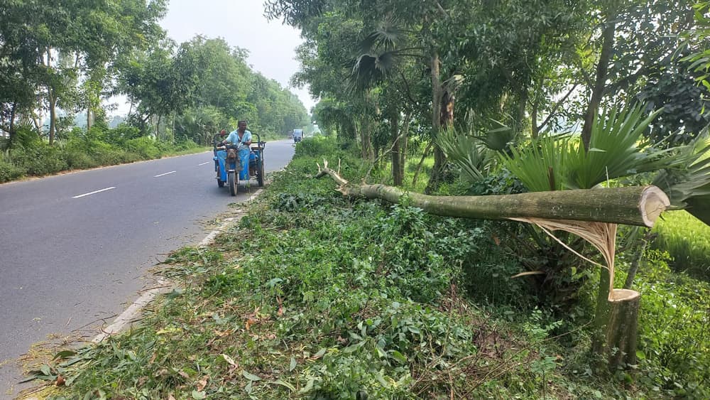 সড়কে গাছ ফেলে বাসে ডাকাতি, যাত্রীদের জিম্মি করে টাকা-ফোন লুট