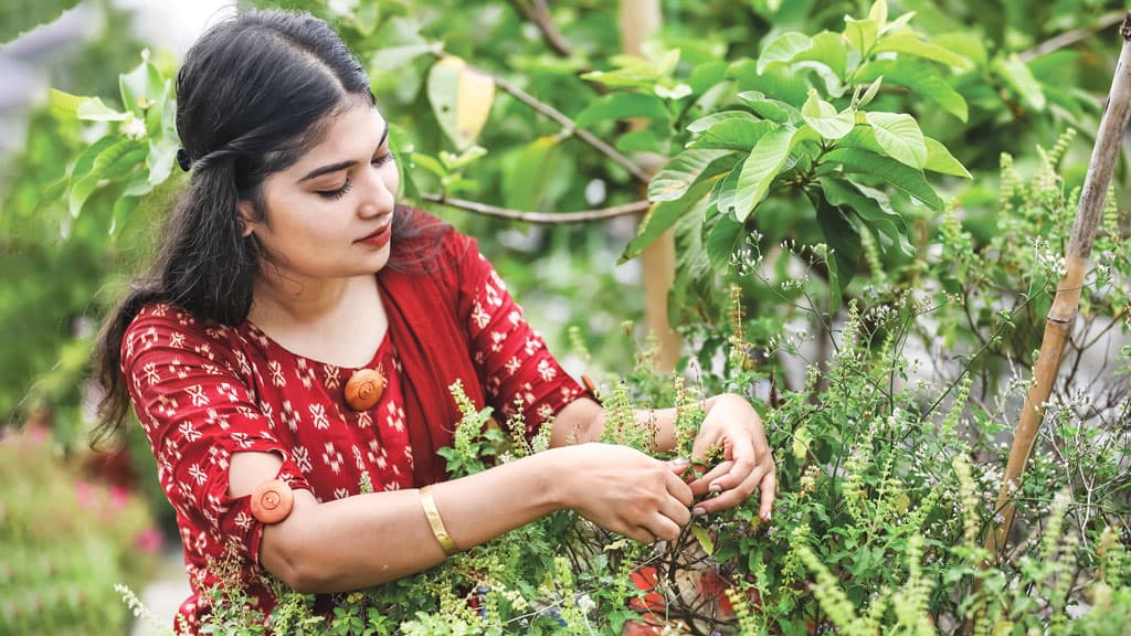 ভাইরাসের সংক্রমণ থেকে যেভাবে গাছ বাঁচাবেন