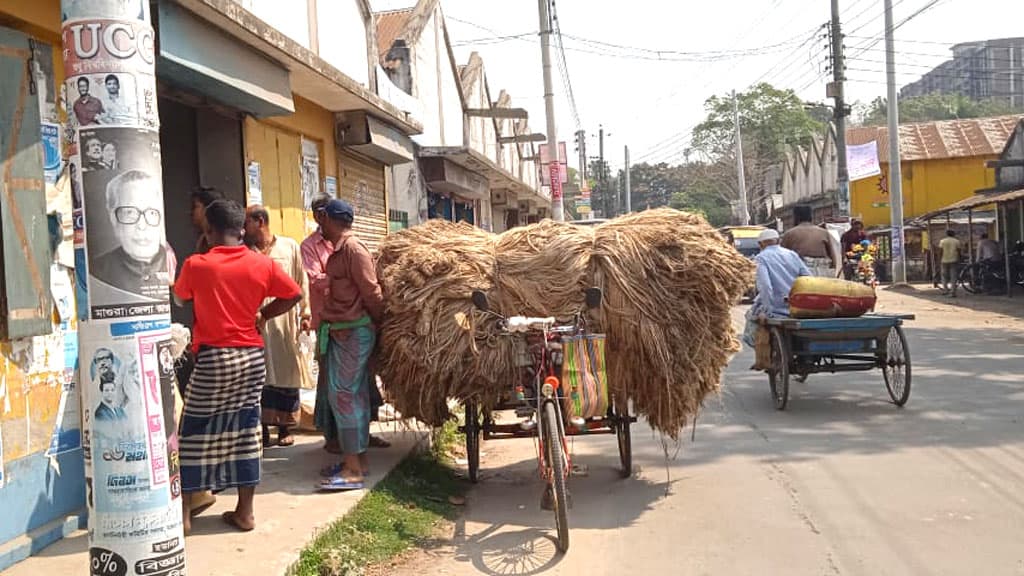 মাগুরায় কমে গেছে পাটের দাম