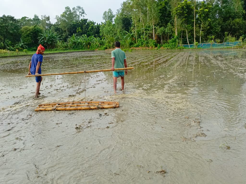 দিনের ছবি (২০ আগস্ট, ২০২৩)