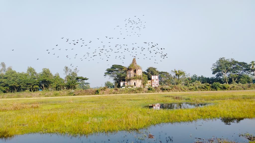 অতিথি পাখিতে মুখর কলেজ ক্যাম্পাস