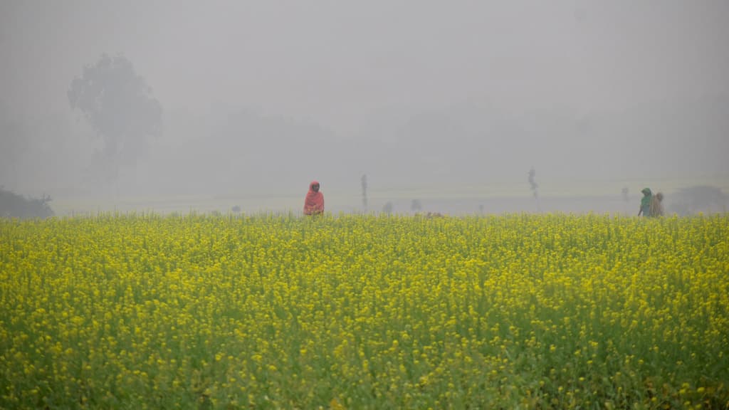 দিনের ছবি (০৫ ডিসেম্বর, ২০২৩)