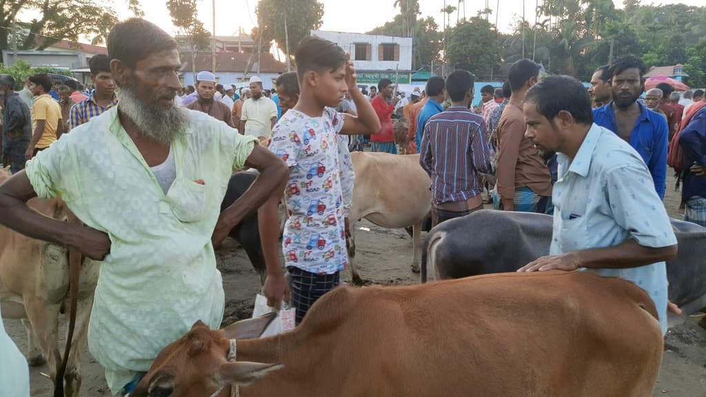 বিদ্যালয়ের মাঠে পশুর হাট