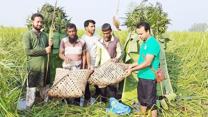 আবার আকাশে উড়ল ফাঁদে আটকা ১০১ পাখি